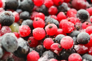 Farklı çeşit dondurulmuş meyveler, arka plan, yakın çekim. Kırmızı frenk üzümü, siyah frenk üzümü, don ile kaplı bektaşi üzümü, taze yaz meyveleri kış için hasat.