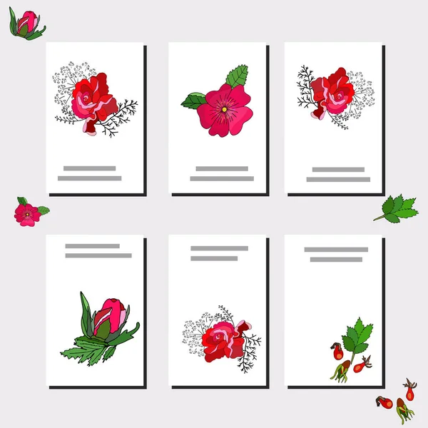 Set con seis plantillas románticas florales. Rosas y hojas . — Vector de stock
