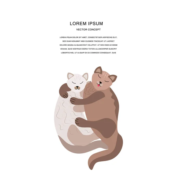 Dois Gatos Abraçando Ilustração Vetorial Fundo Branco Com Texto —  Vetores de Stock