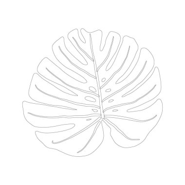 Beyaz arka plan üzerinde siyah anahat simgesi monstera yaprağı.