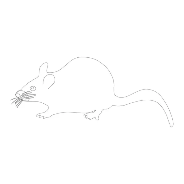 Black outline icon of lying rat on white background. — Stock Vector