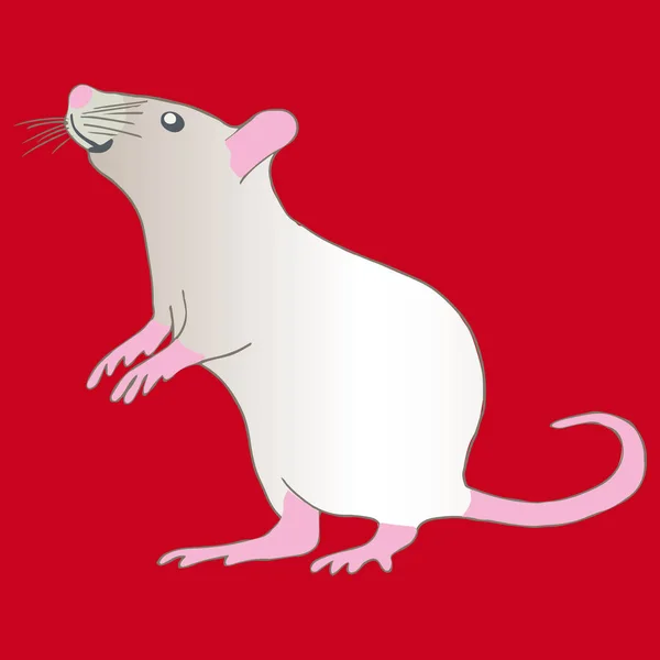 Curiouse rata de metal blanco sobre fondo rojo . — Vector de stock