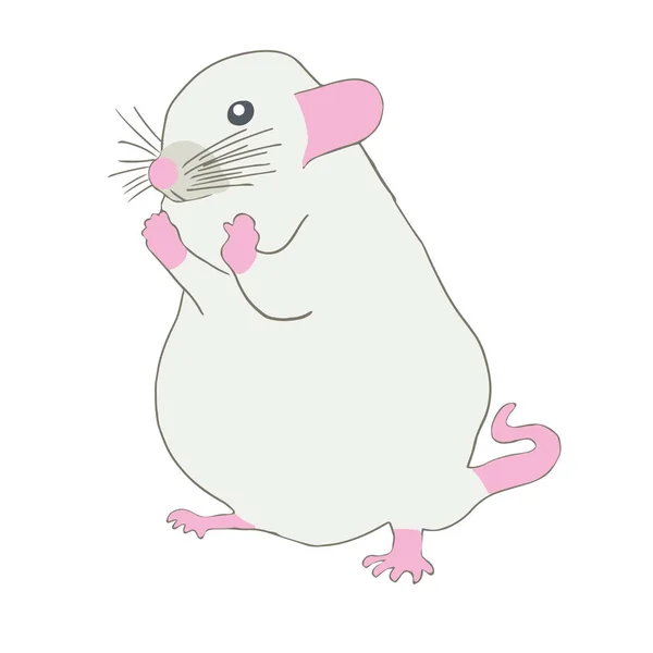 Greedy white rat with pink paws on white background. — Stock Vector
