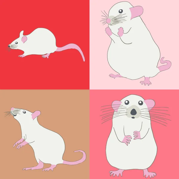 Set de cuatro ratas blancas con patas rosas — Vector de stock