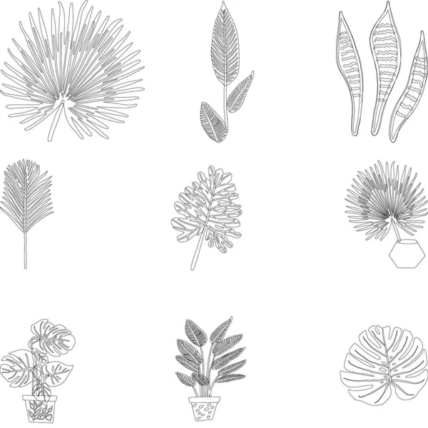 Conjunto de folhas tropicais ícones contorno preto no fundo branco . — Vetor de Stock