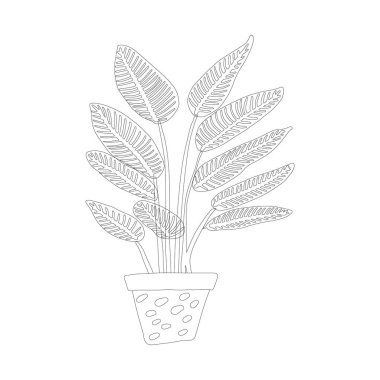 Beyaz arka plan üzerinde siyah anahat tropikal bitki pot