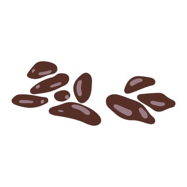 Kırmızı soğan illüstrasyon