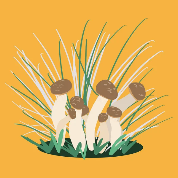 Champignon forestier en croissance avec herbe — Image vectorielle