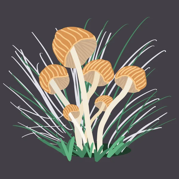 Växande svamp med gräs. — Stock vektor