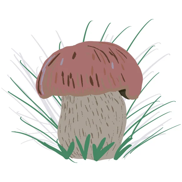 Champignon porcini à l'herbe — Image vectorielle