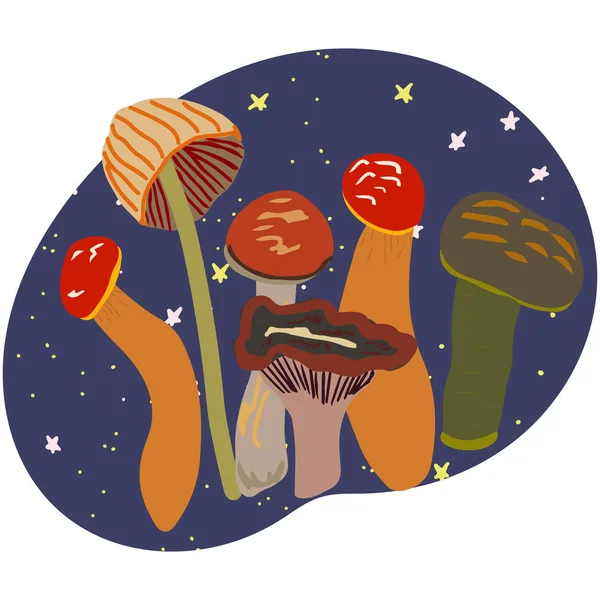 Champignon magique aux couleurs vives . — Image vectorielle