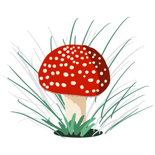 Magnifique champignon Amanita muscaria . — Image vectorielle