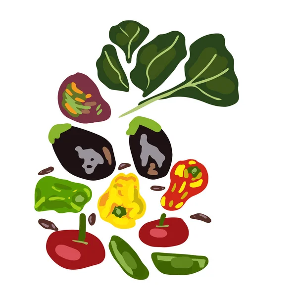 Ensemble de légumes crus frais . — Image vectorielle