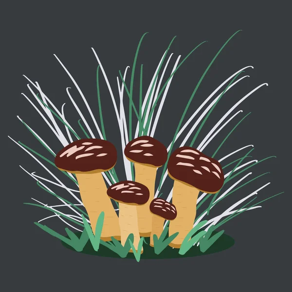 Crescendo cogumelo copo marrom com grama —  Vetores de Stock