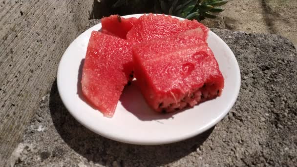 Close Watermelon Pieces White Plate Outdoor Footage Sunny Summer Day — Stock Video