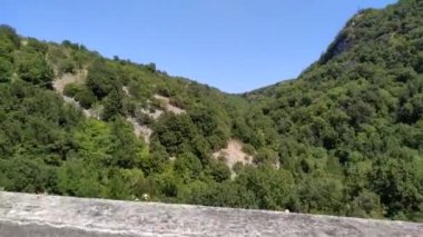 Yol ağaçları nın manzarasında araba sürme İtalya hareket görüntüleri. Dış mekan görüntüleri.