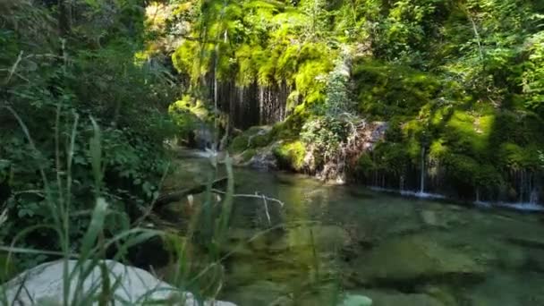 Mały Wodospad Lesie Piękne Małe Miejsce Turystyczne Materiał Zewnętrzny — Wideo stockowe
