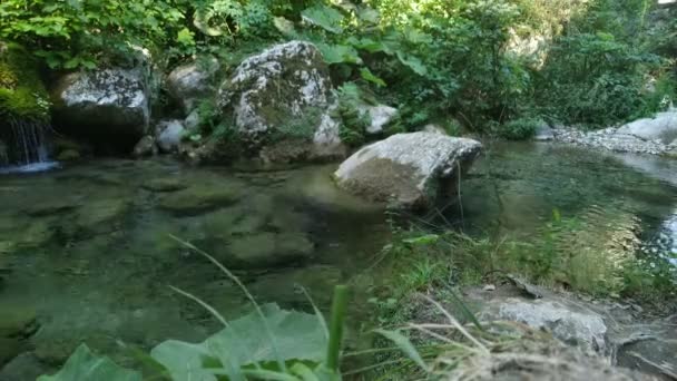 Cascada Lacul Într Pădure Adâncă Cascada Cade Într Mic Lac — Videoclip de stoc