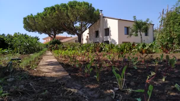 Cerca Jardín Casa Campo Con Árboles Vista Desde Parte Inferior — Vídeos de Stock