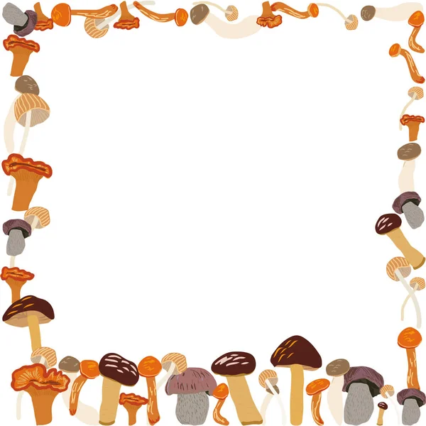 Fronteira quadrada de cogumelos — Fotografia de Stock