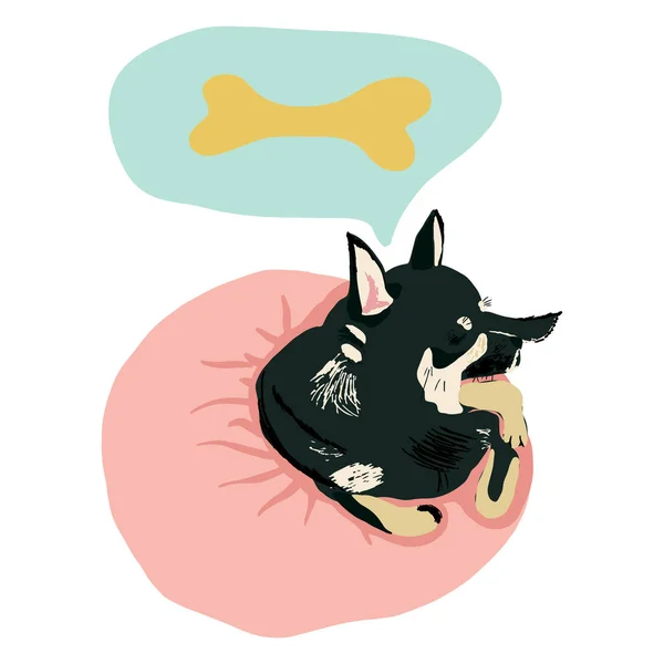 A cartoon chihuahua dog dreaming of bone. — Stock Photo, Image