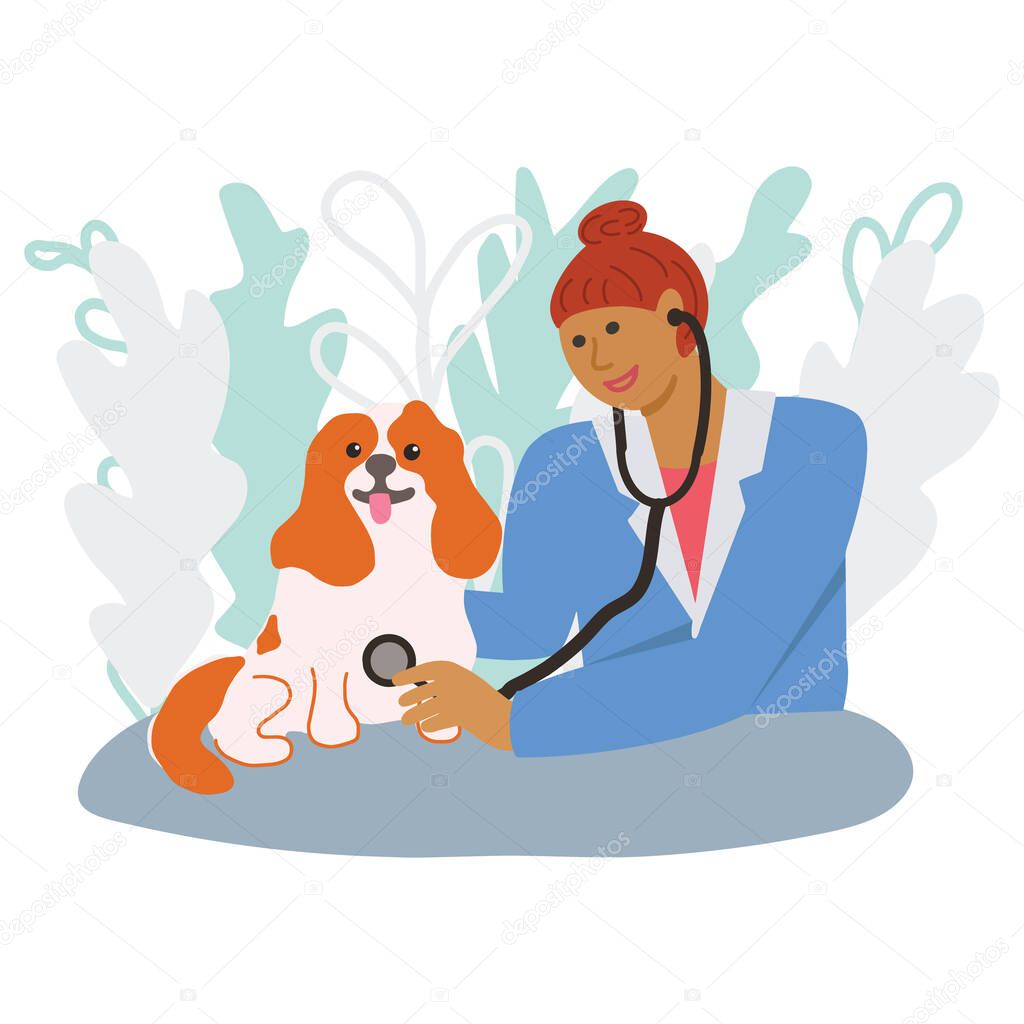 Veterinary concept with doctor medical examination of dog.