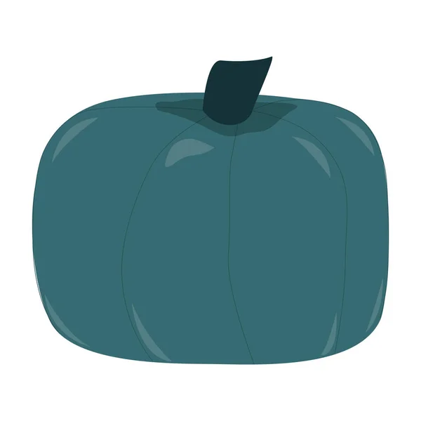 Teal azul calabaza buttercup aislado sobre fondo blanco . — Vector de stock