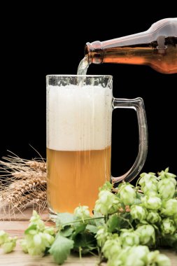 Bira şişe cam içine dökme