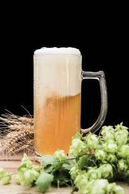 hop ve buğday ve bir bardak bira