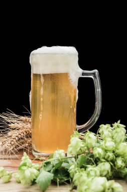 hop ve buğday ve bir bardak bira