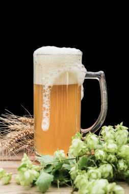 hop ve buğday ve bir bardak bira