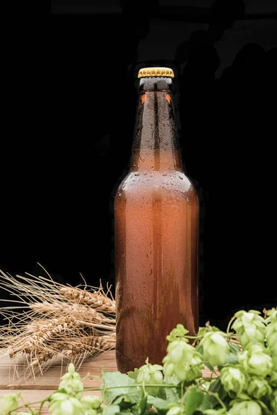 Flasche Bier Mit Hopfen Und Weizen Und Einem Glas — Stockfoto