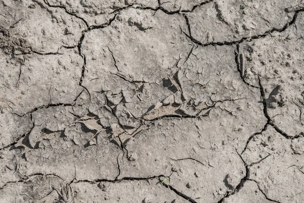 cracked soil from the sun