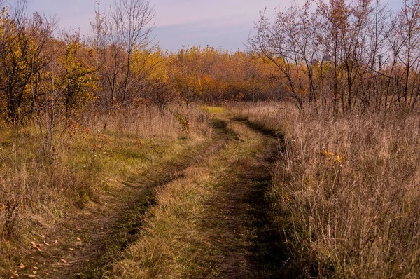 Herfst Weg Verlaten Verte — Stockfoto