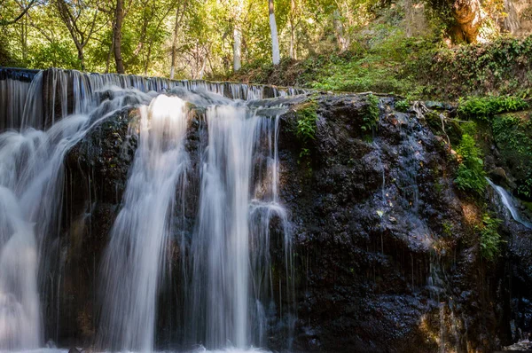 Cascade Dans Forêt Été — Photo