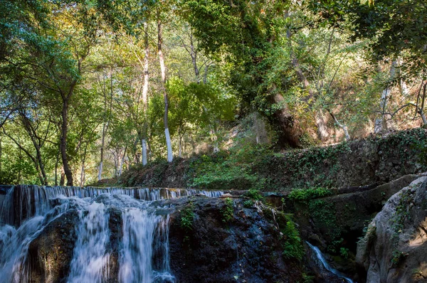 Cascade Dans Forêt Été — Photo