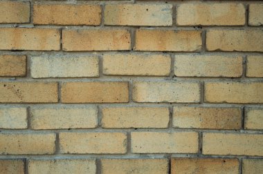 gün ışığında tuğla duvar