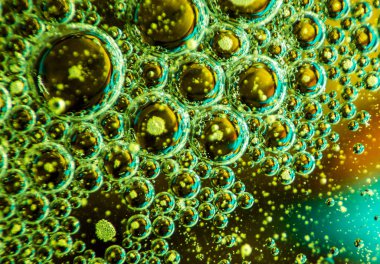 Suda yüzen yağ damlaları