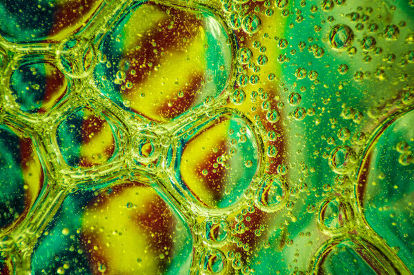 oil drops floating in water