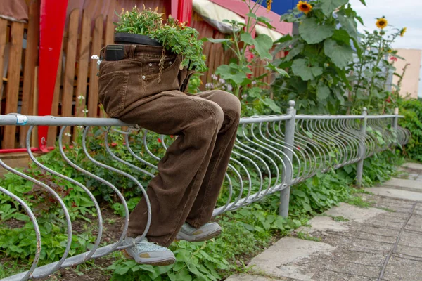 Unusual Flower Pot Amazing Original Flower Bed Brown Trousers Conceptual — Stock Photo, Image