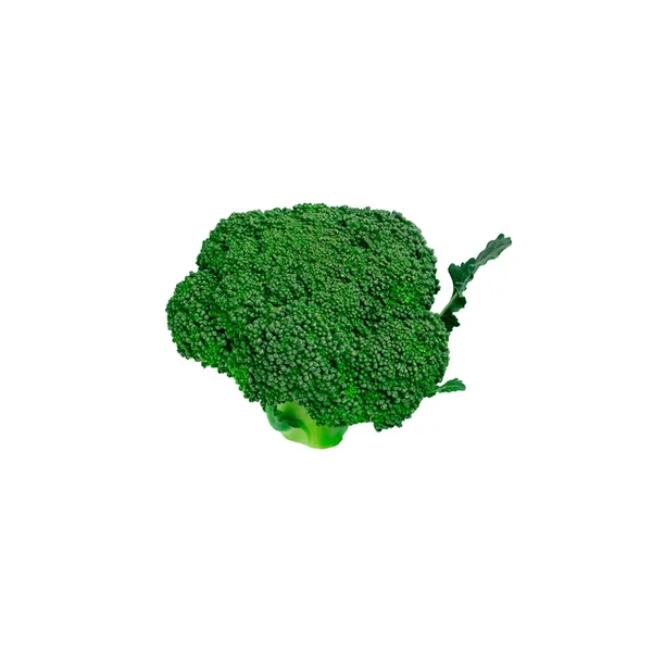 Green Tasty Juicy Fresh Broccoli Inflorescence Organic Eco Broccoli Isolate — Stock Photo, Image