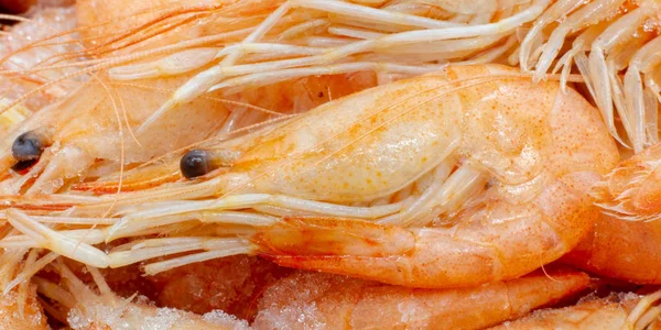 新鲜的粉红色大西洋虾的宏观照片 海鲜虾 甲壳类虾的特写镜头的窄照片 — 图库照片