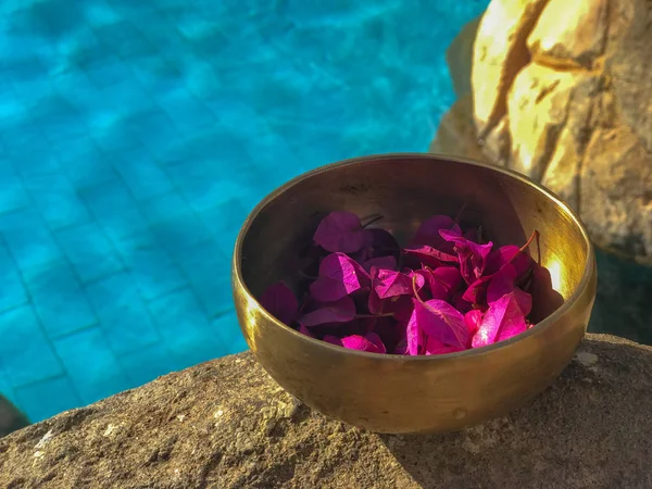 The healing singing bowl of Tibetan medicine, filled with purple flower petals, stands close-up on coastal stones. Non-traditional musical instrument for treatment, restoring balance, for yoga.