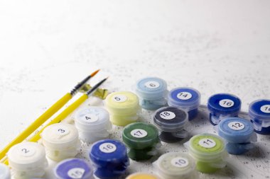 Kapları numaralarına göre ev resim boyaları ile kümesi. Hobi resim tuval ile akrilik rakamlarla boyar. Boya fırçaları ve renkli boyalar.