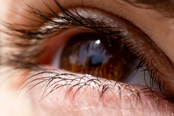 Occhio femminile primo piano con una cornea lucida e belle ciglia grandi. Allievo dell'occhio, palpebra, ciglia di una giovane donna felice . — Foto Stock