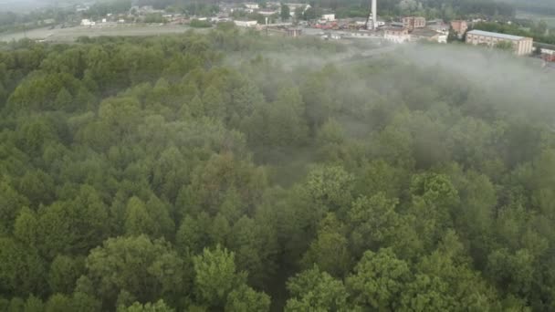 Політ над зеленим туманним лісом біля індустріальної зони — стокове відео