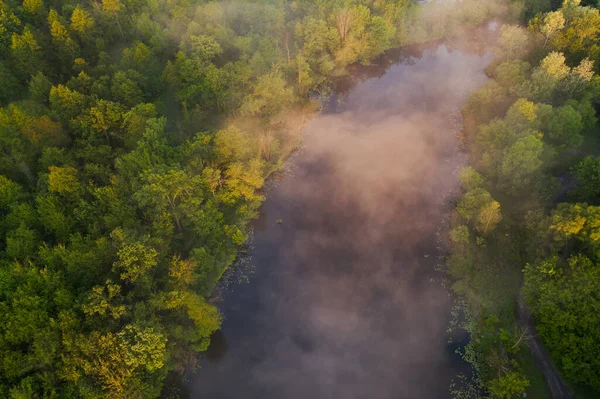 Un río tranquilo en la niebla del amanecer entre los árboles verdes del bosque mixto. Hermoso paisaje de parque natural al amanecer . — Foto de Stock