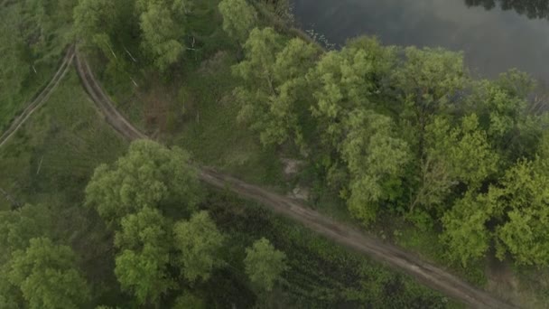 Політ дрона зверху над туманною річкою серед зеленого вологого лісу — стокове відео