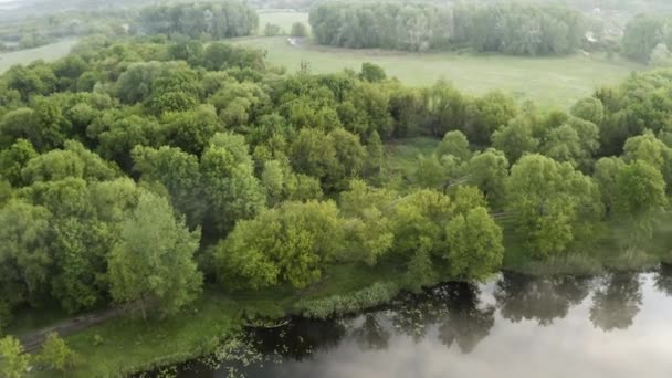 Let dronem přes zamlženou letní řeku. Létání nad říční mlhou. — Stock video