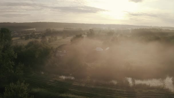 Dron přeletěl nad vrcholky stromů na okraji vesnice v časném mlhavém ránu ve zlaté hodině. — Stock video